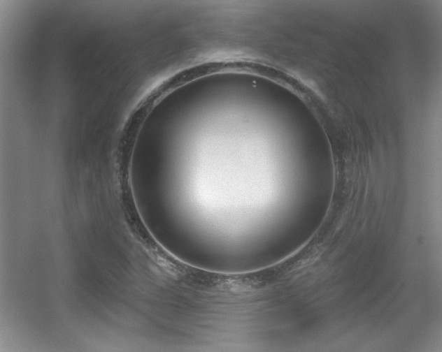 X0000056011311200508221444