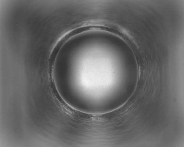 X0000056011312200508221444