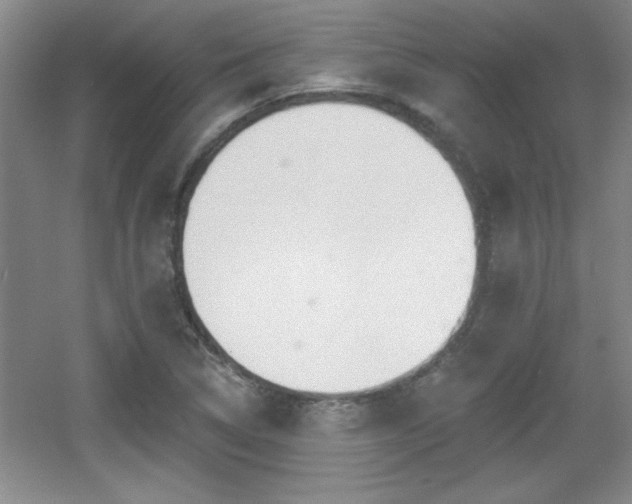 X0000056011314200508221444