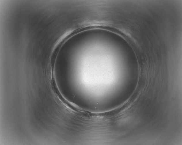 X0000056011317200508221444
