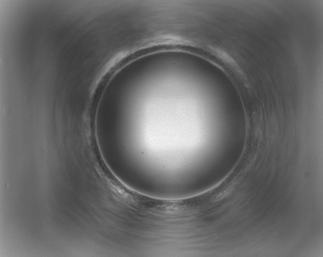 X0000056011318200508221444