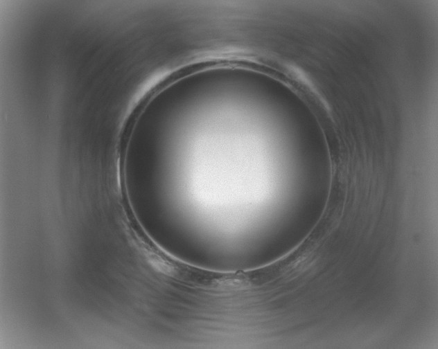 X0000056011320200508221444