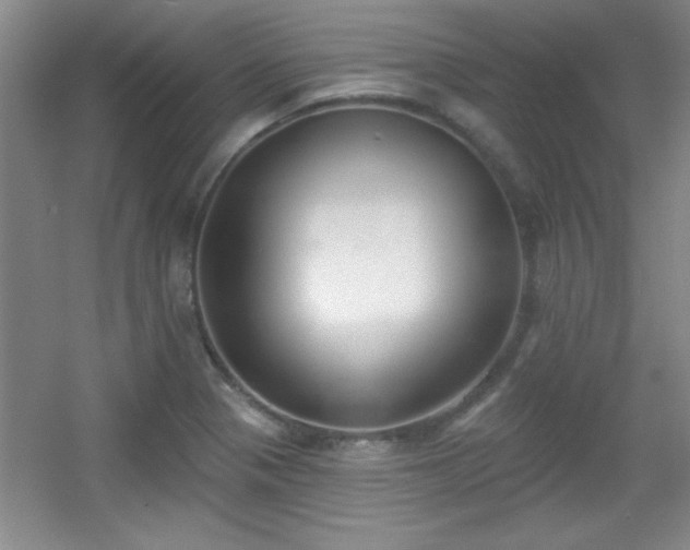 X0000056011321200508221444