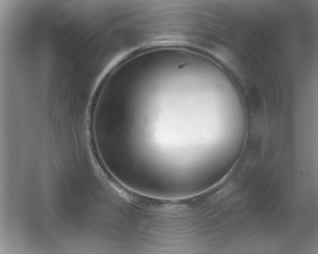 X0000056011325200508221444