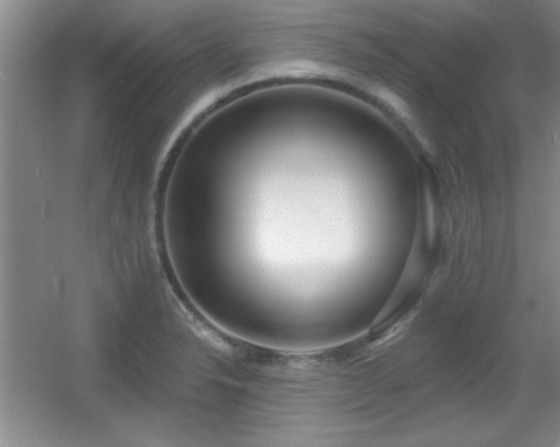 X0000056011326200508221444