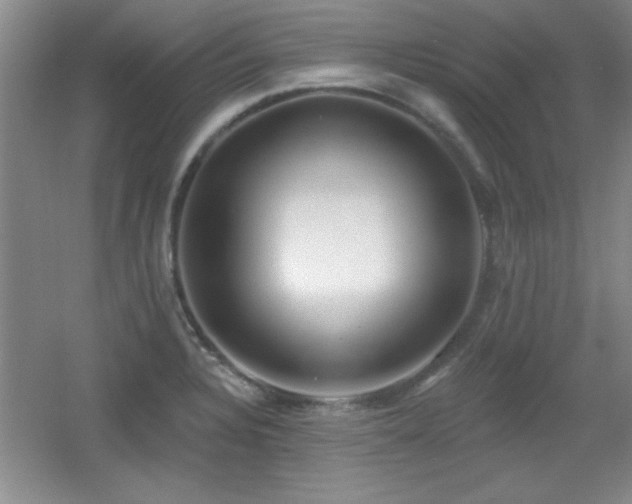 X0000056011328200508221444