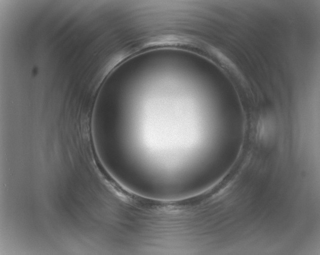 X0000056011329200508221444