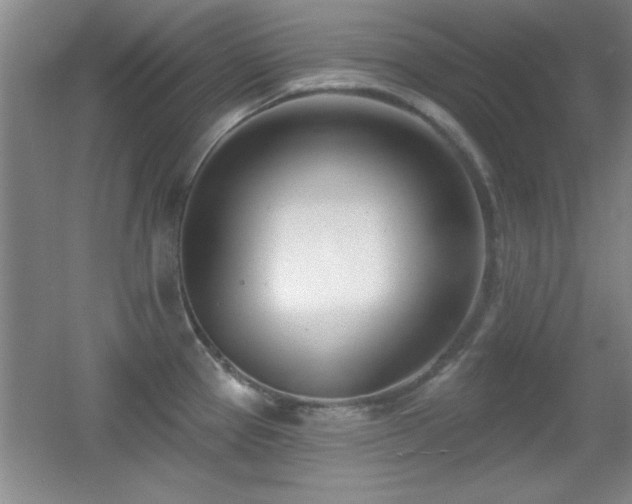 X0000056011337200508221444