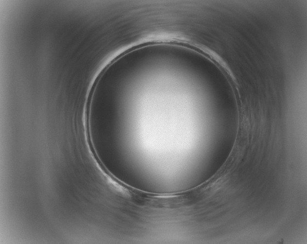 X0000056011343200508221444