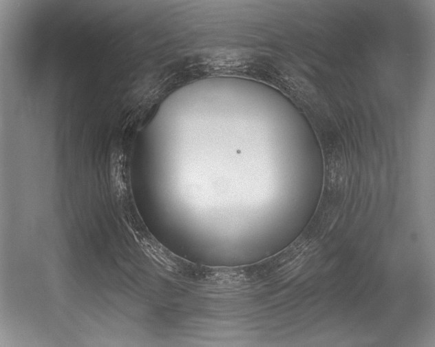X0000056011346200508221444