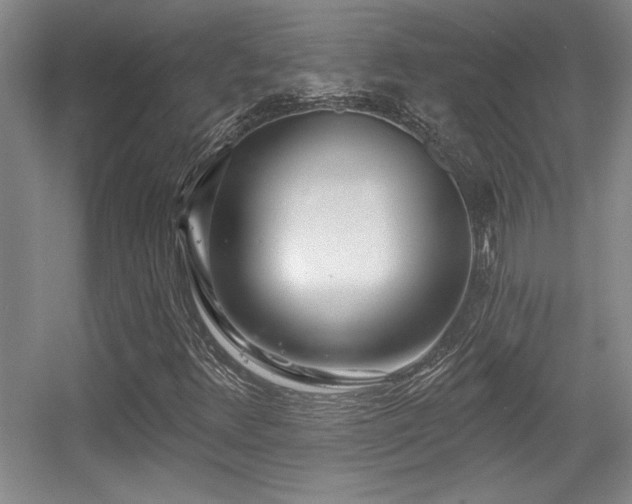 X0000056011348200508221444
