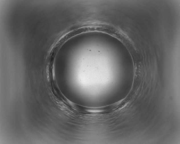 X0000056011352200508221443