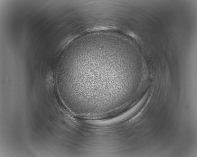 X0000056011353200508221443