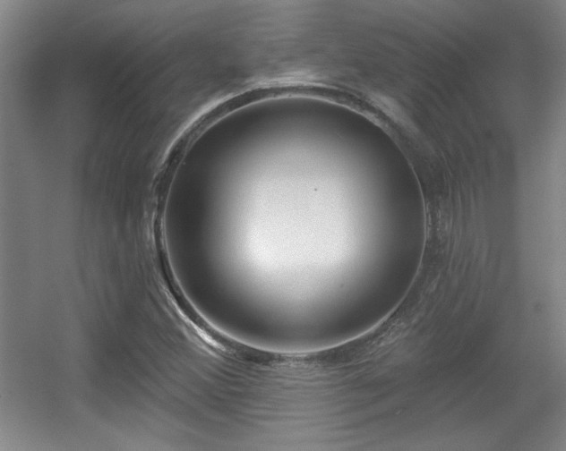 X0000056011356200508221443