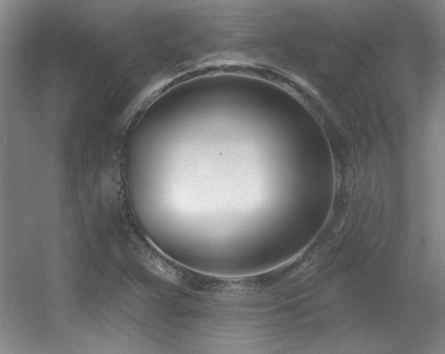 X0000056011359200508221443