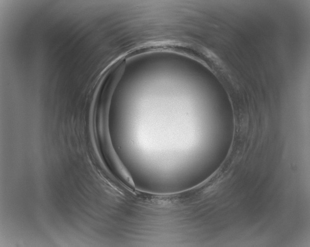 X0000056011361200508221443