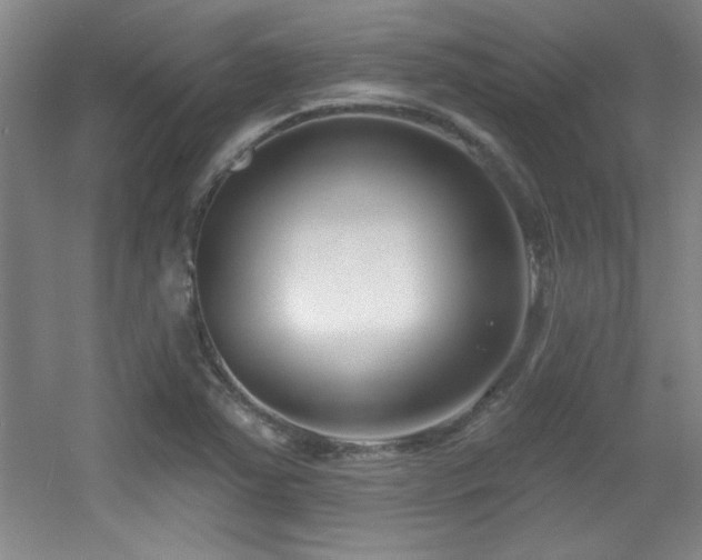 X0000056011363200508221443
