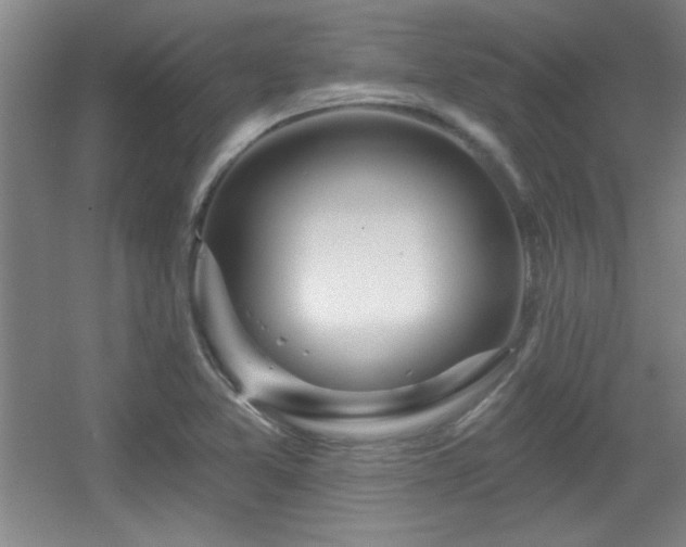 X0000056011365200508221443