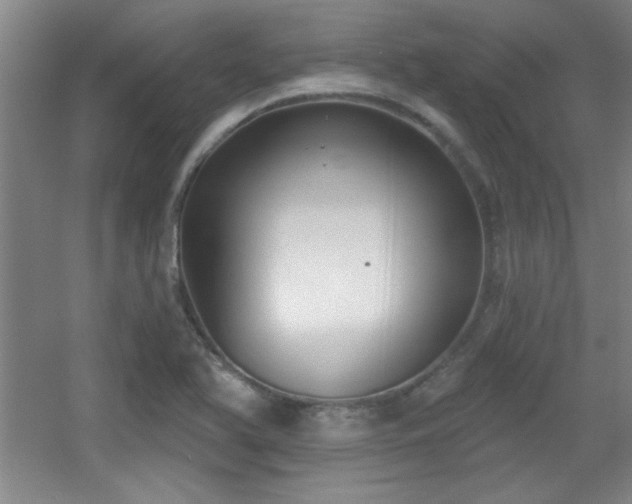 X0000056011366200508221443