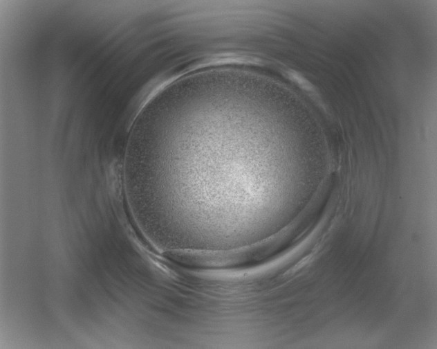 X0000056011369200508221443