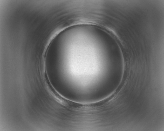 X0000056011371200508221443