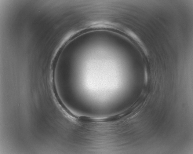 X0000056011376200508221443