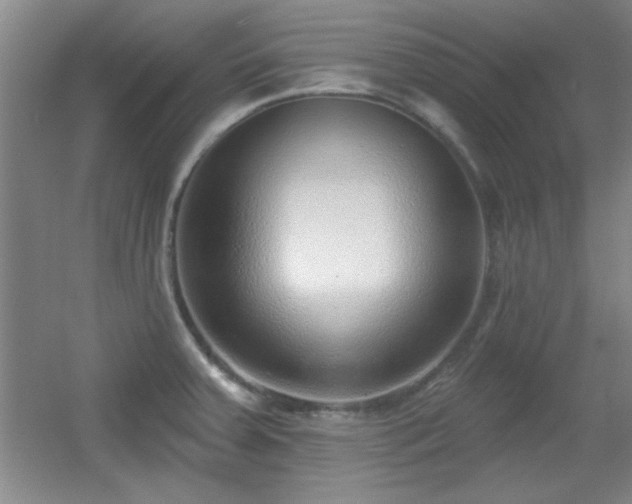 X0000056011379200508221443