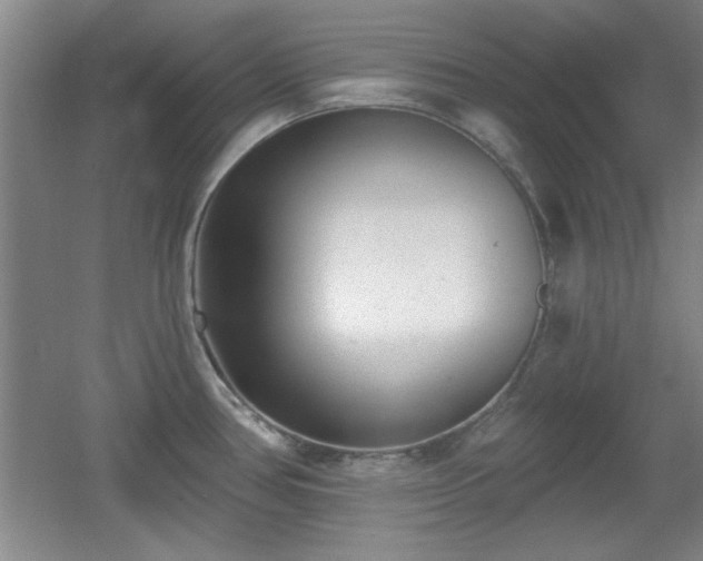 X0000056011386200508221443
