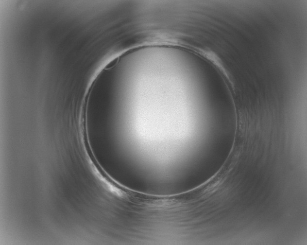 X0000056011387200508221443