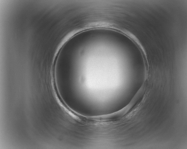 X0000056011389200508221443