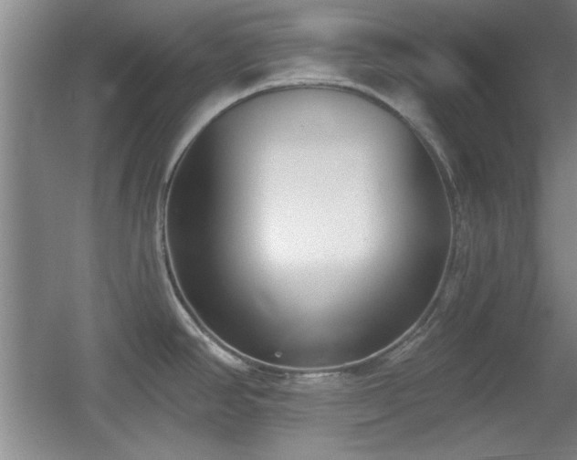 X0000056011390200508221443