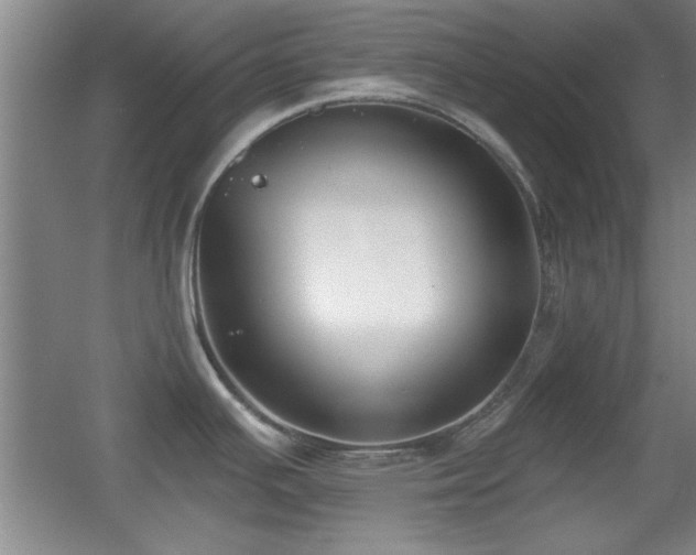 X0000056011391200508221443