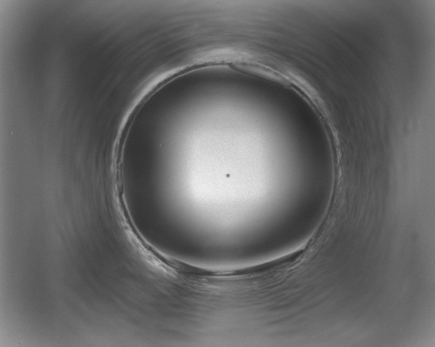 X0000056011392200508221443