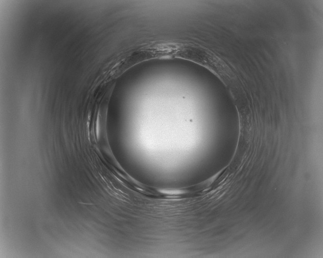 X0000056011394200508221442