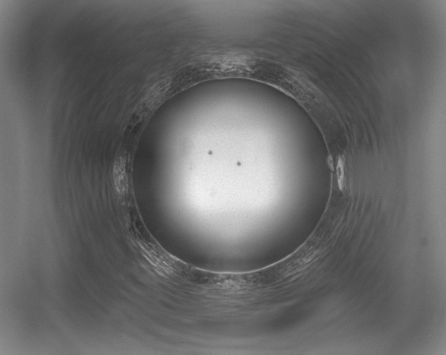 X0000056011395200508221442