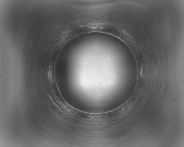 X0000056011396200508221442