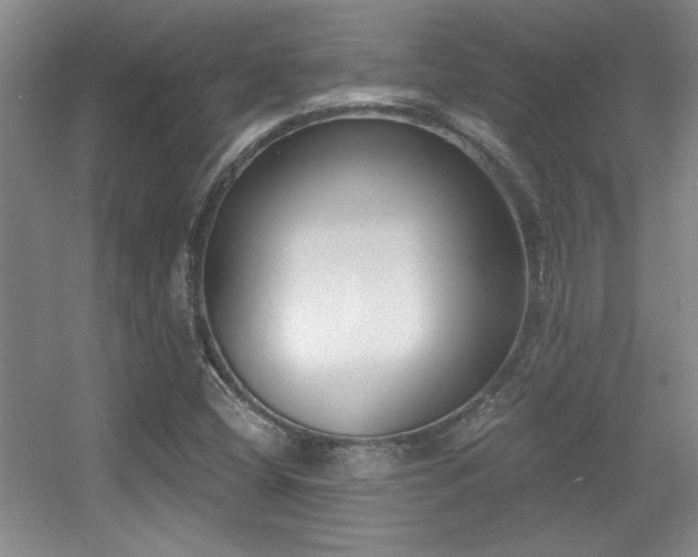 X0000056011404200508221442