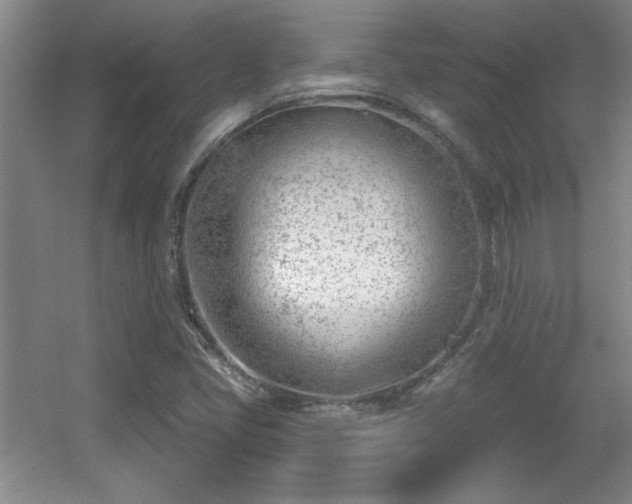 X0000056011405200508221442