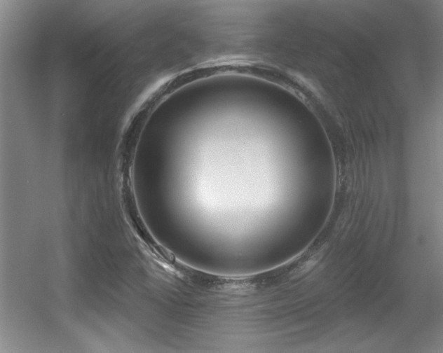 X0000056011406200508221442