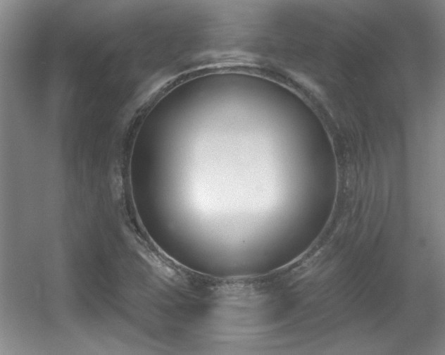 X0000056011407200508221442