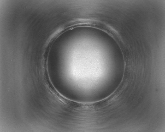 X0000056011411200508221442