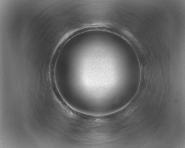 X0000056011412200508221442