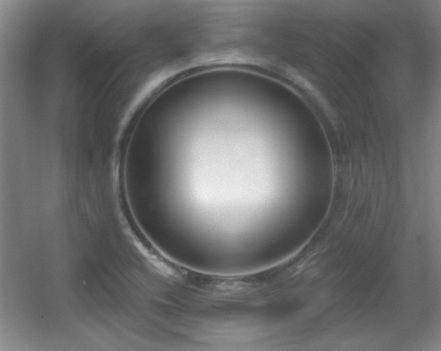 X0000056011416200508221442