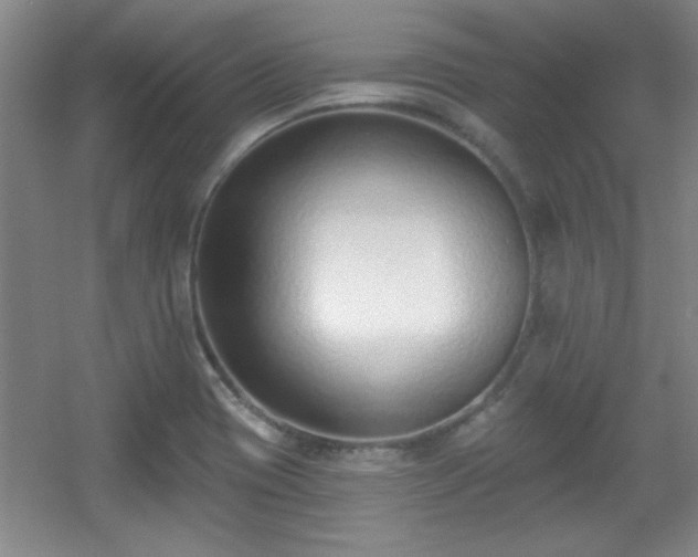 X0000056011417200508221442