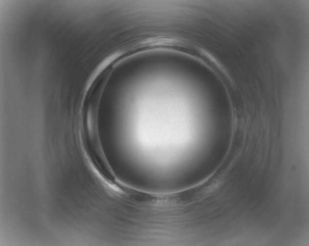 X0000056011418200508221442