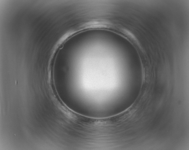 X0000056011419200508221442