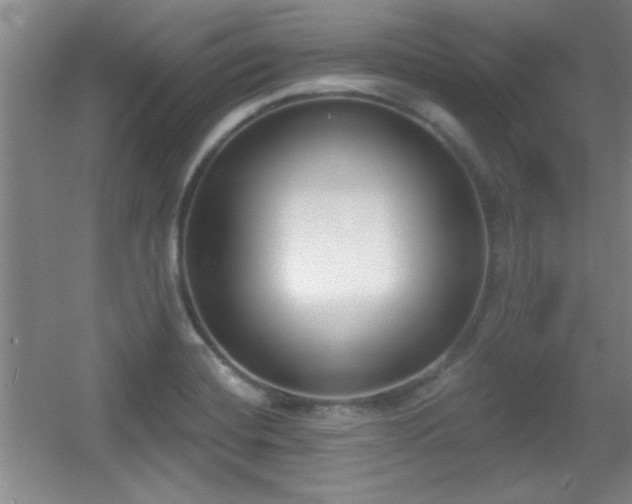 X0000056011420200508221442