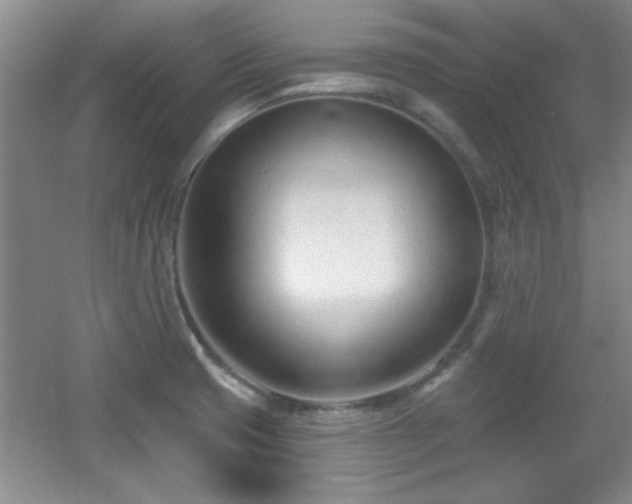 X0000056011425200508221443