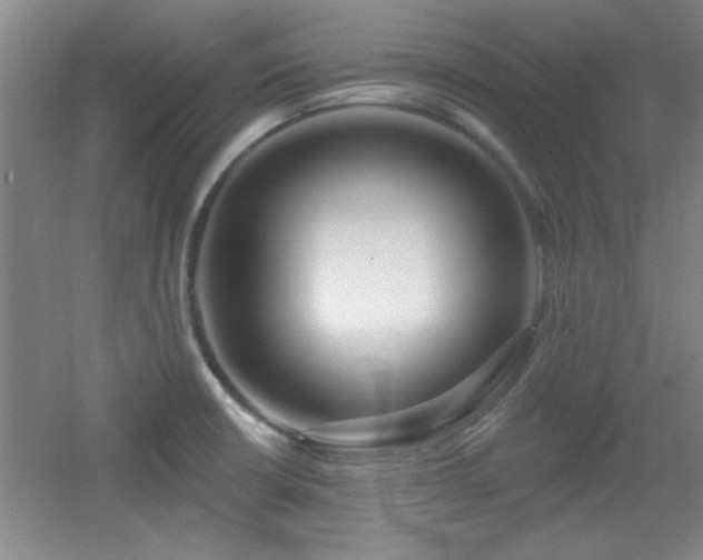 X0000056011426200508221443