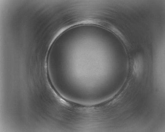 X0000056011428200508221443